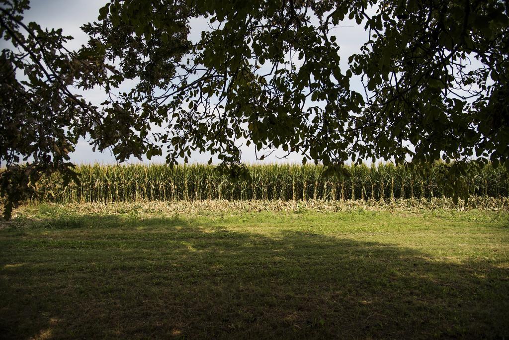 Agriturismo Corte Ruffoni Bauernhof *